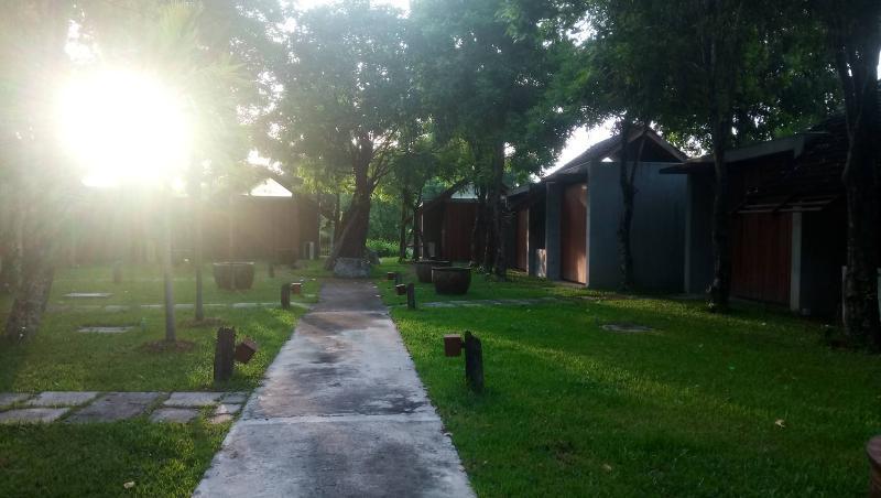 Into The Forest Resort Bangkok Buitenkant foto